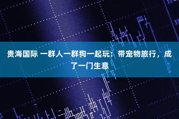 贵海国际 一群人一群狗一起玩：带宠物旅行，成了一门生意