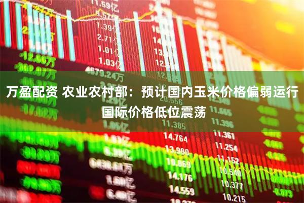 万盈配资 农业农村部：预计国内玉米价格偏弱运行 国际价格低位震荡